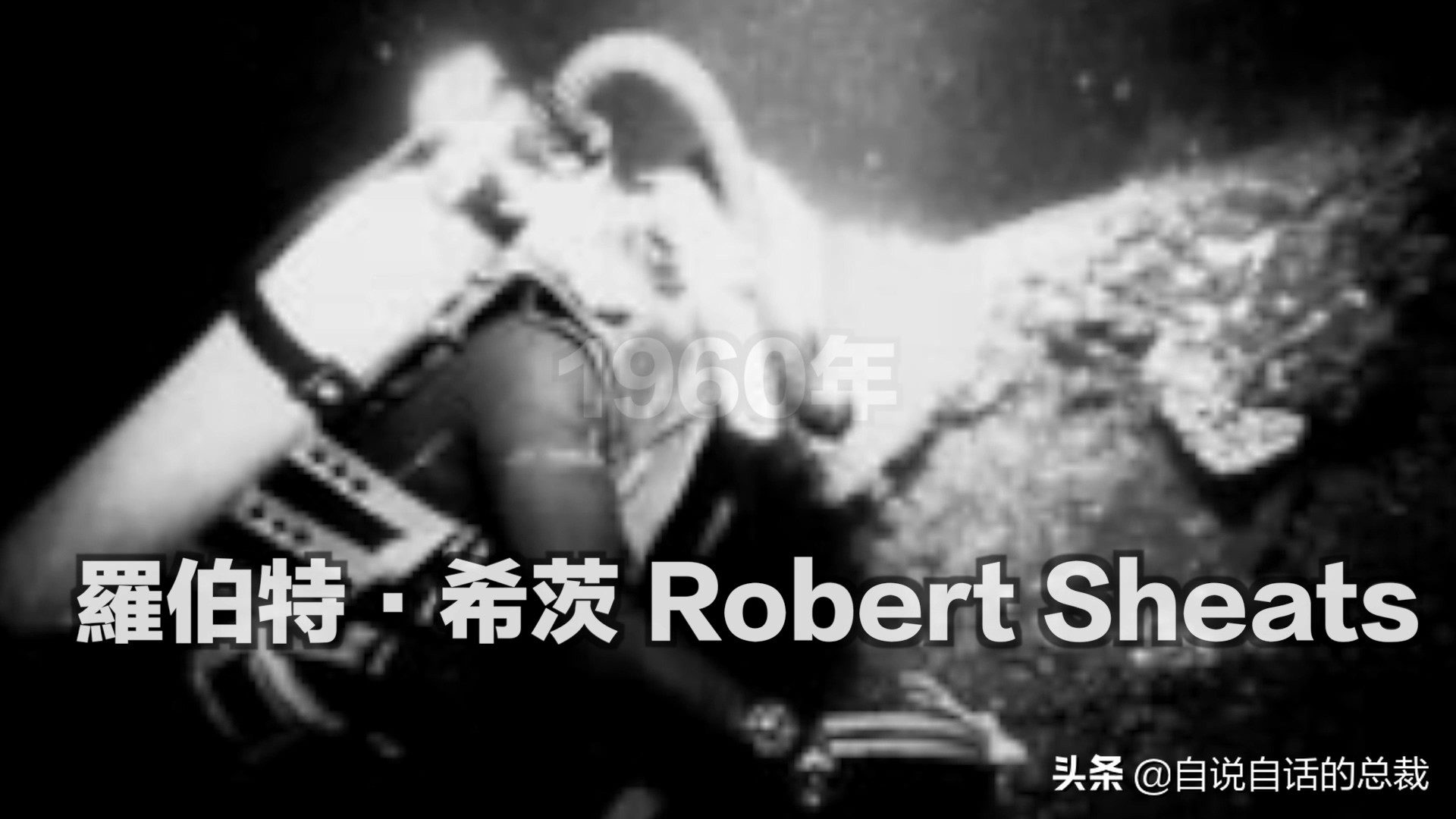 蚬蚌蛏的区别是什么,蚶子蛤蜊蚬子区别