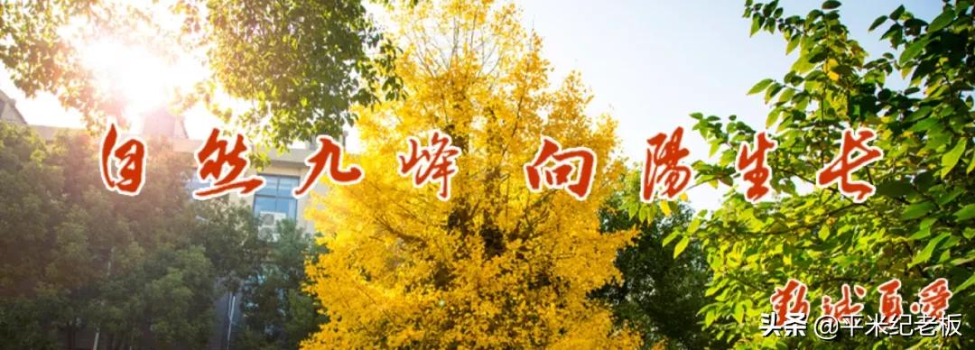 郑重辟谣:这个郊区可真不是一无是处