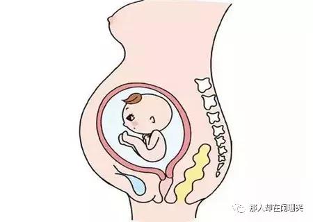 胎儿头位和右位的区别,胎儿头位和头位低的区别