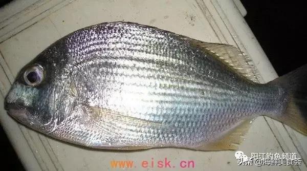 中国本土最便宜的鱼10种,哪些鱼档次又高又便宜