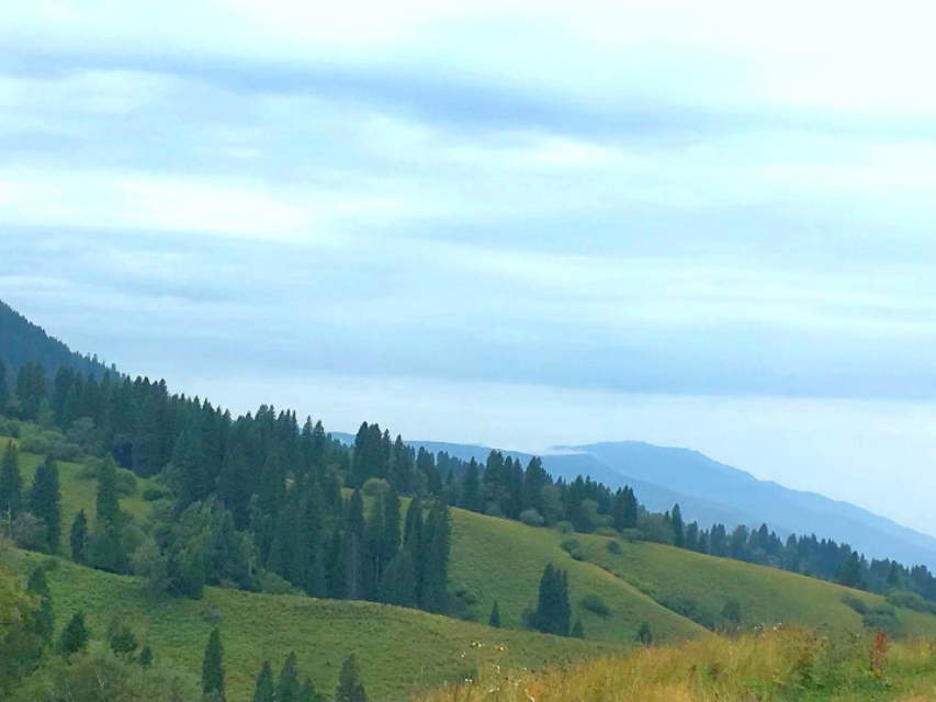 独库公路遇老乡卖蜂蜜,买上千元是假的,这年头儿老乡还能相信吗