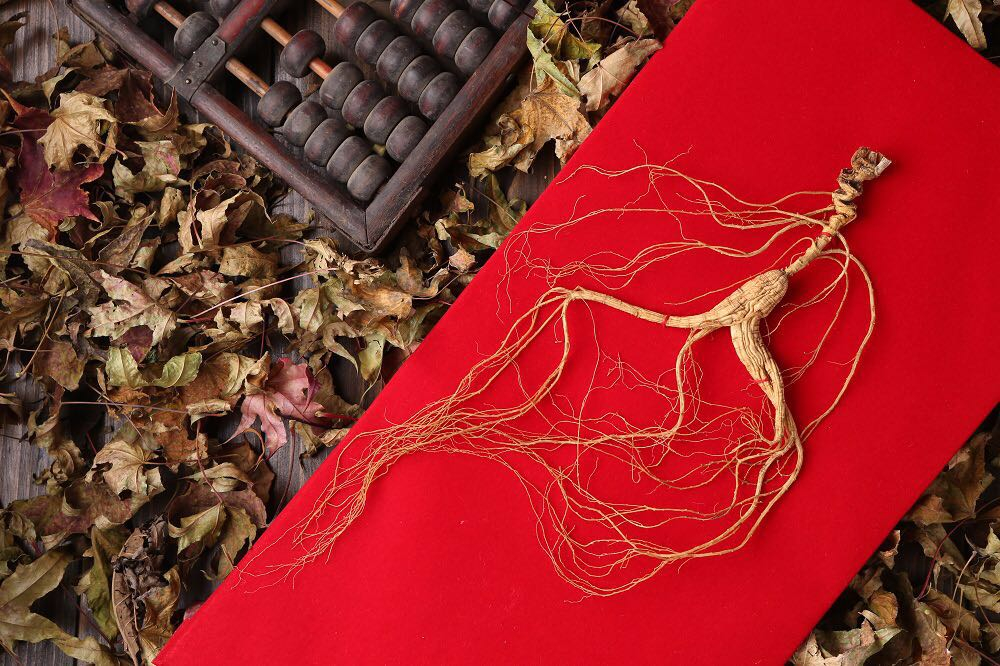 野山参文化传承,野山参历史文化