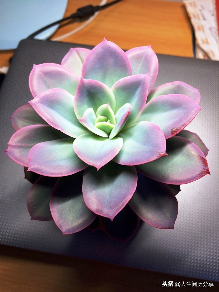 优秀的名言警句大全,特别有深刻意义的名言警句