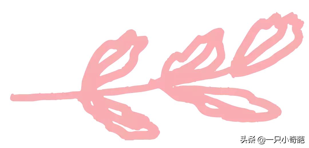 脱单小技巧代码,脱单秘籍恶搞代码