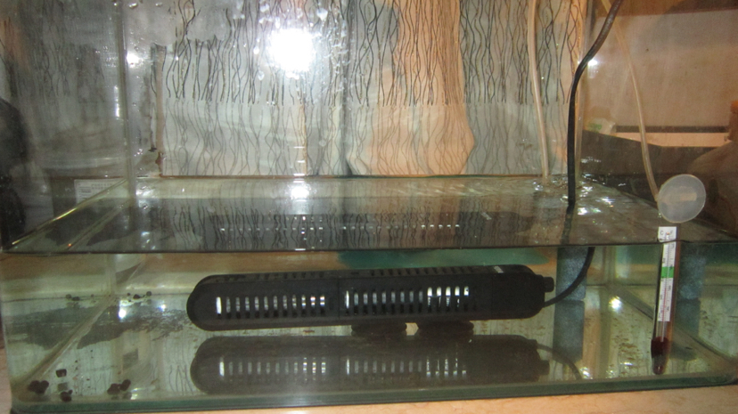 鍥芥枟绻佹畺娉版枟,娉版枟鍏瘝绻佹畺