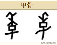 浼徊鍙斿瑙ｆ瀽,浼徊鍙斿鏂囧甯歌瘑