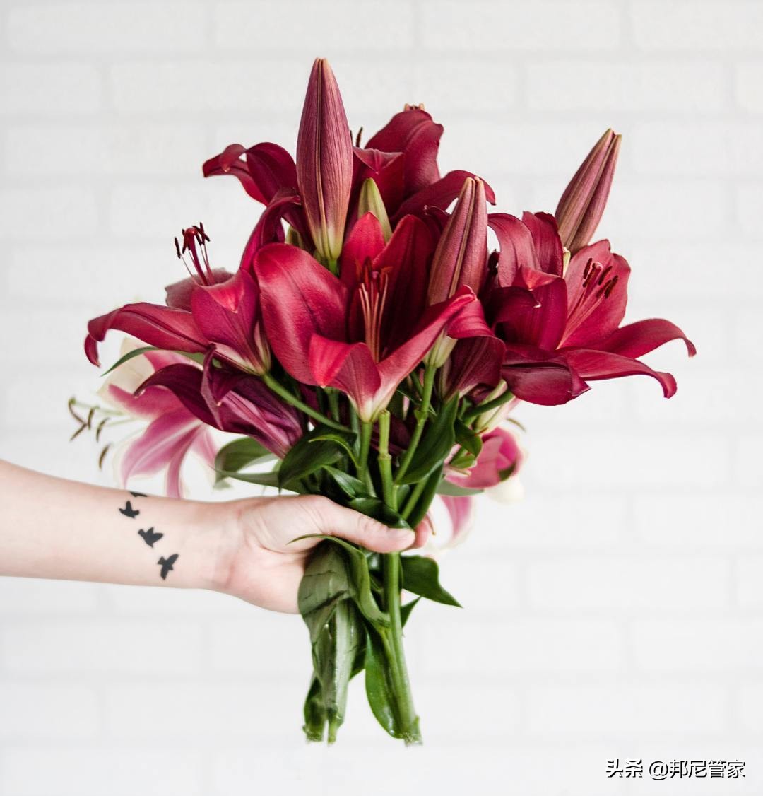 送礼雷区,送礼物雷区