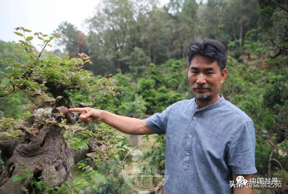 鏈存爲寰楀鐩嗘櫙,椤剁骇鏈存爲鐩嗘櫙娆h祻