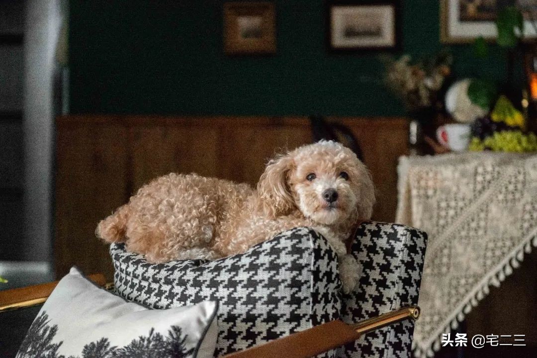 嗜好旧物的90后,用柔软的心构建家中岁月感