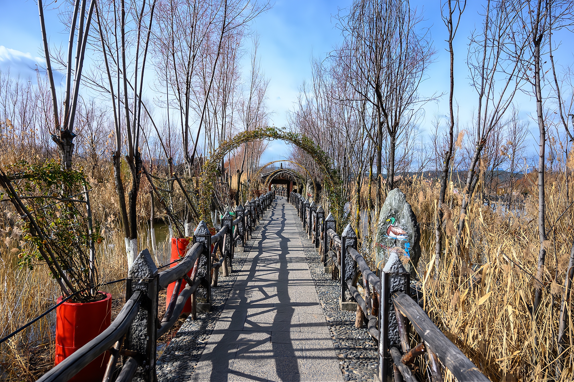 丽江拉市海自然美景,丽江拉市海湿地公园景区