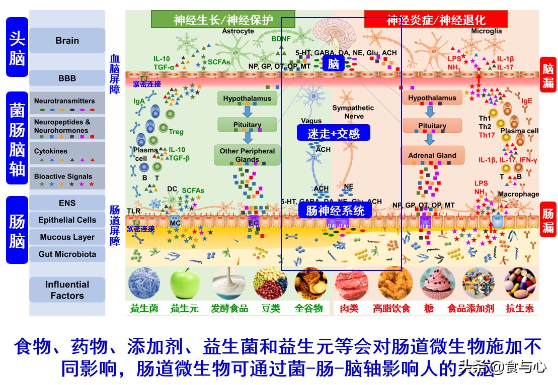 自闭症为什么会控制不住情绪,为什么自闭症要干预生殖