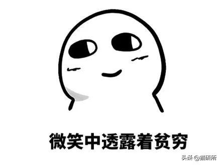 生肉如何处理喂猫,幼猫喂生肉的正确方法