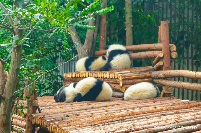成都本地人去的最好吃的美食,中国姑娘吃成都美食