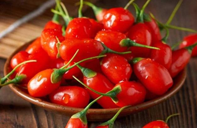 宁夏特产枸杞,宁夏为什么特产枸杞