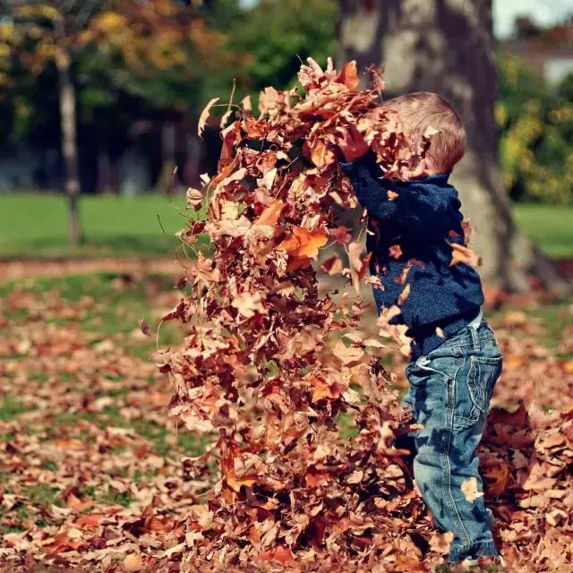 绉嬪ぉ涓婚鍖哄煙娲诲姩璁捐鏂规,绉嬪ぉ涓婚璇剧▼娲诲姩鏂规璁捐