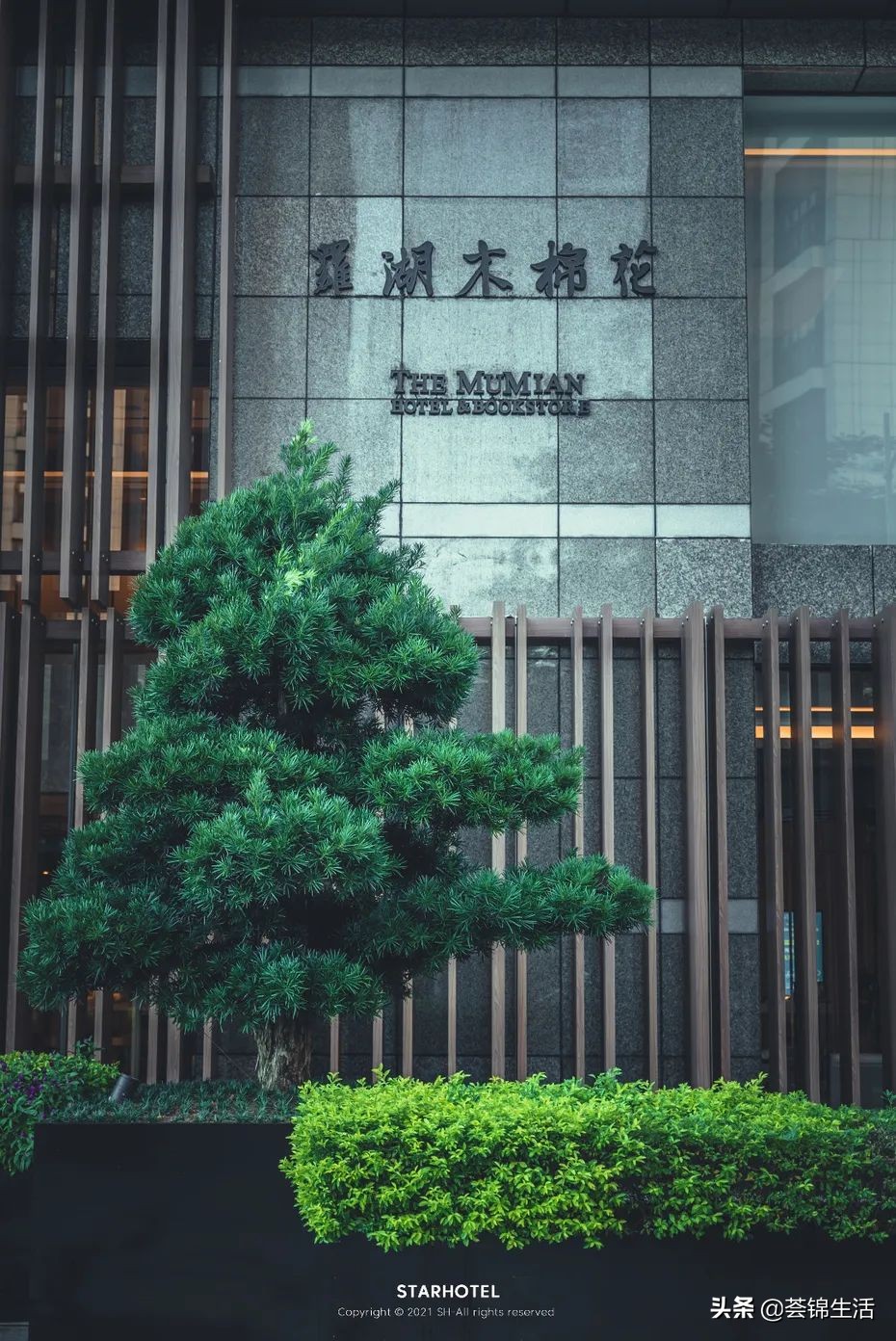 好玩的酒店打卡,深圳度假自助酒店