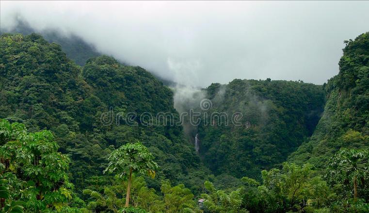 多米尼克，除了是“避税天堂”，还有很多你不知道的冷知识