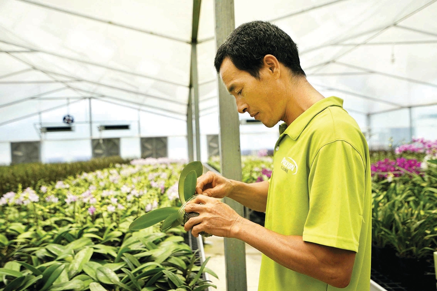 惠州市乡村振兴申报项目名单,惠州乡村振兴