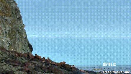 珠峰脚下长草,珠峰长草视频