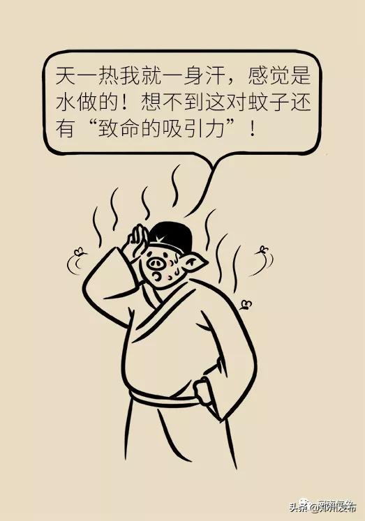 被蚊子吵得睡不着觉怎么发朋友圈,晚上用电风扇被蚊子吵得睡不着