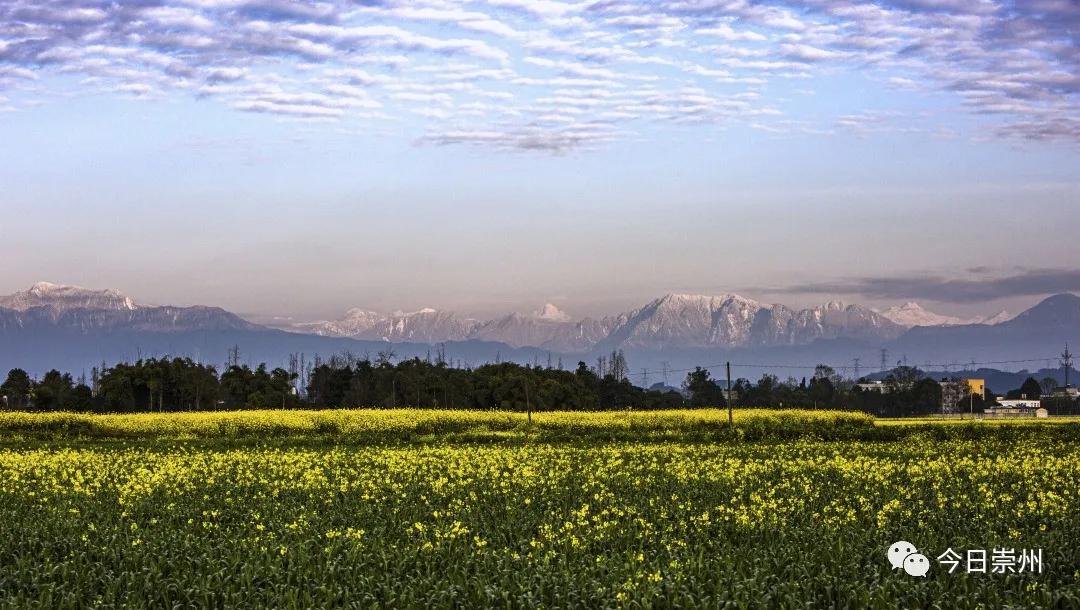 崇州市区看雪山,崇州看雪山