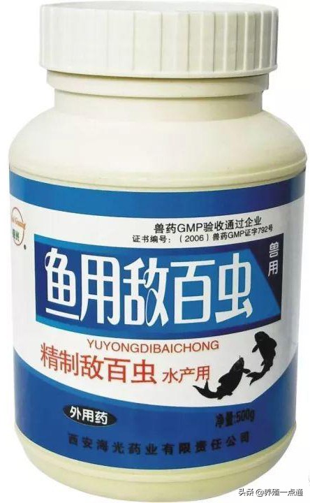 观赏鱼杀菌盐使用方法,水产鱼药观赏鱼可以用吗