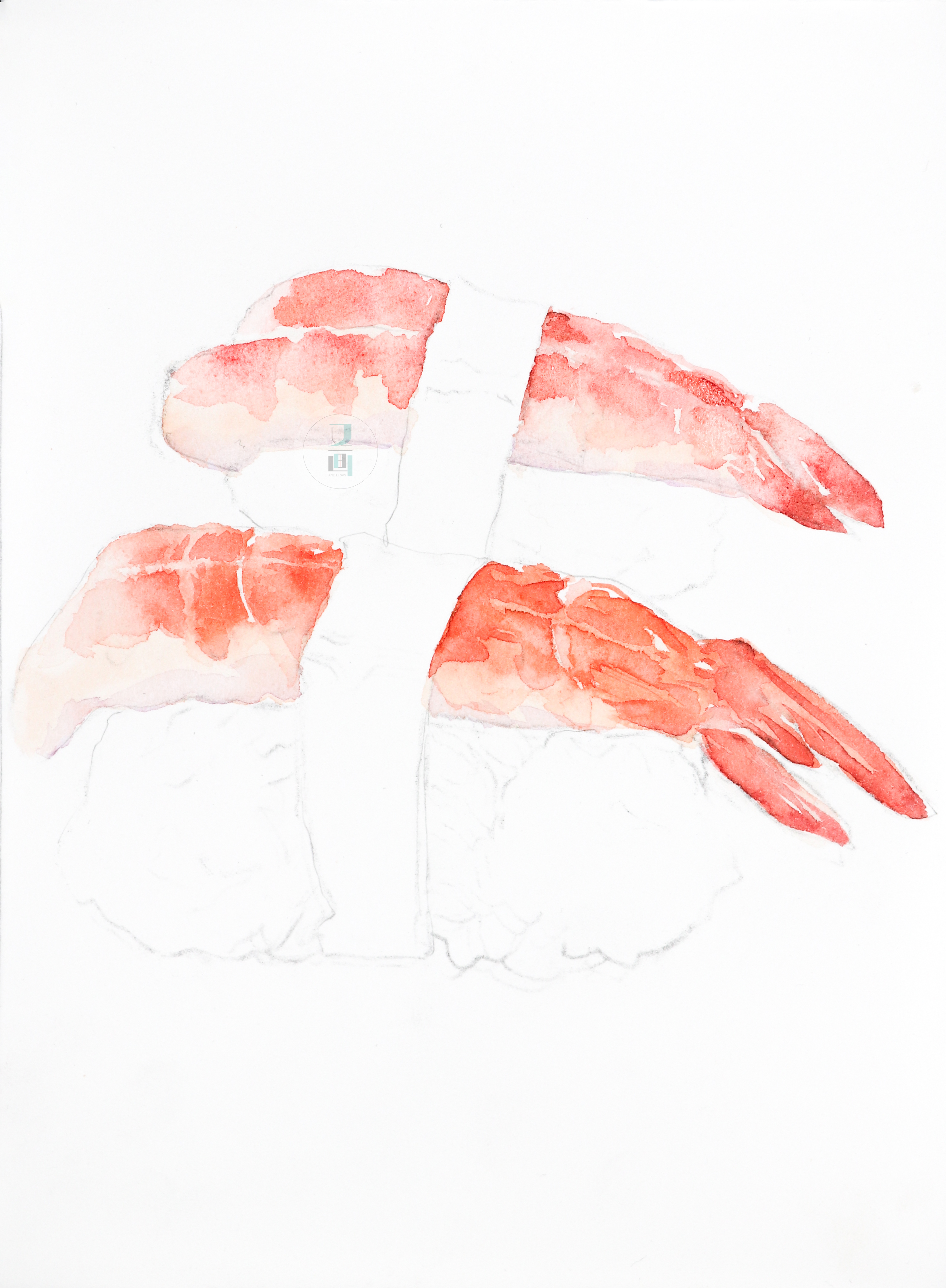 水彩虾尾的画法,水彩寿司便当教程