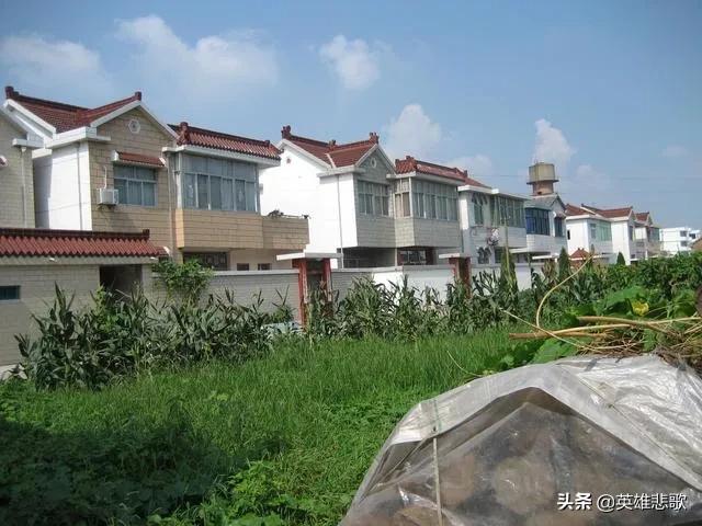 黄沙为何暴涨,黄沙价格最新市场价