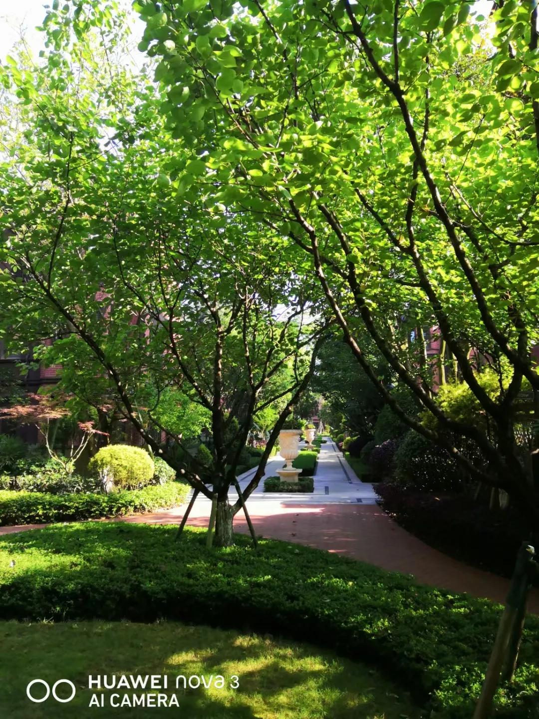 这几天又热起来了、这里是宜居的悦来