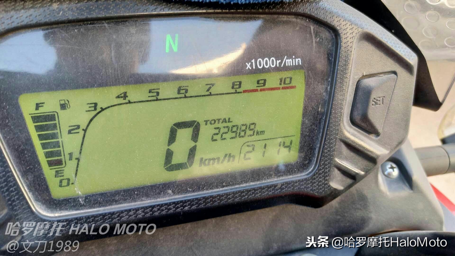 哈啰车评,哈罗评车20期