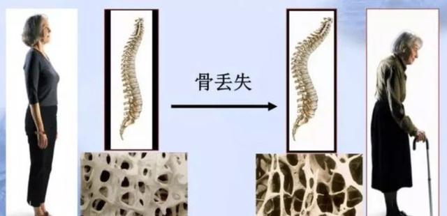 为什么日本老人很健康,为什么日本的老年人身体好