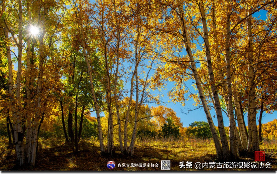 那山那水那滋味,那山那水那份爱