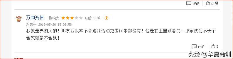 獐子岛扇贝跑了对股民影响,獐子岛扇贝事件股票