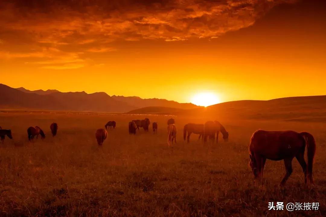 张掖的由来,什么是张掖
