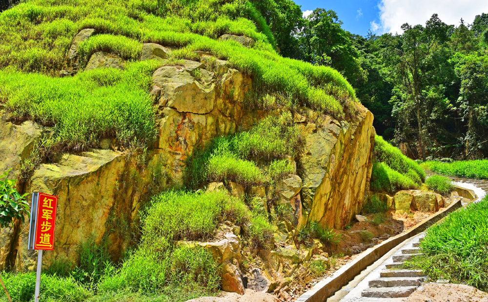 漳浦填鸭的来历,漳浦地理标志水果