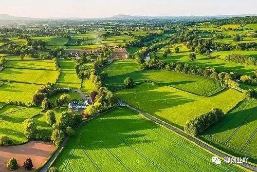 马云谈创业成功率高吗,马云谈年轻人创业成功案例