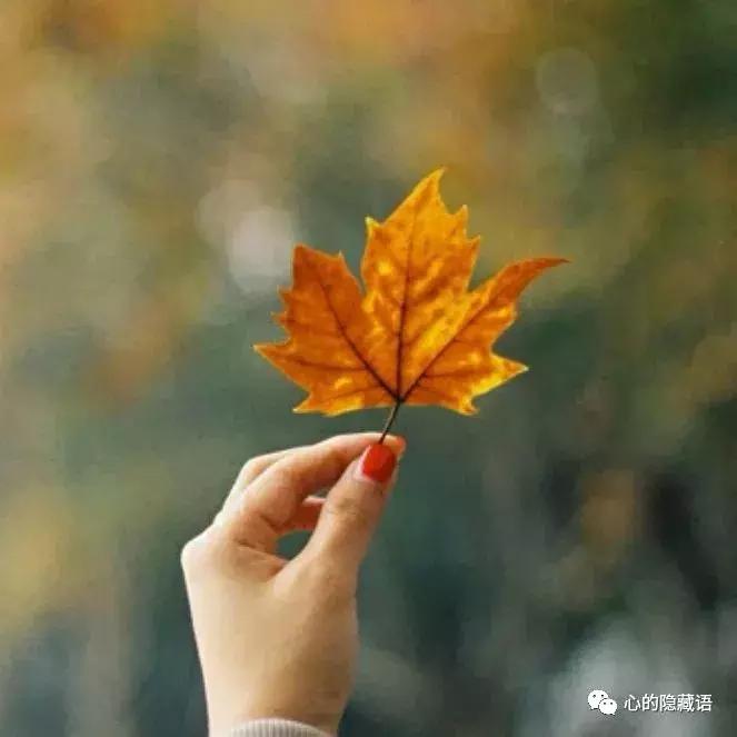 渡人如渡己渡己如渡人,渡人如渡己渡己也是渡人