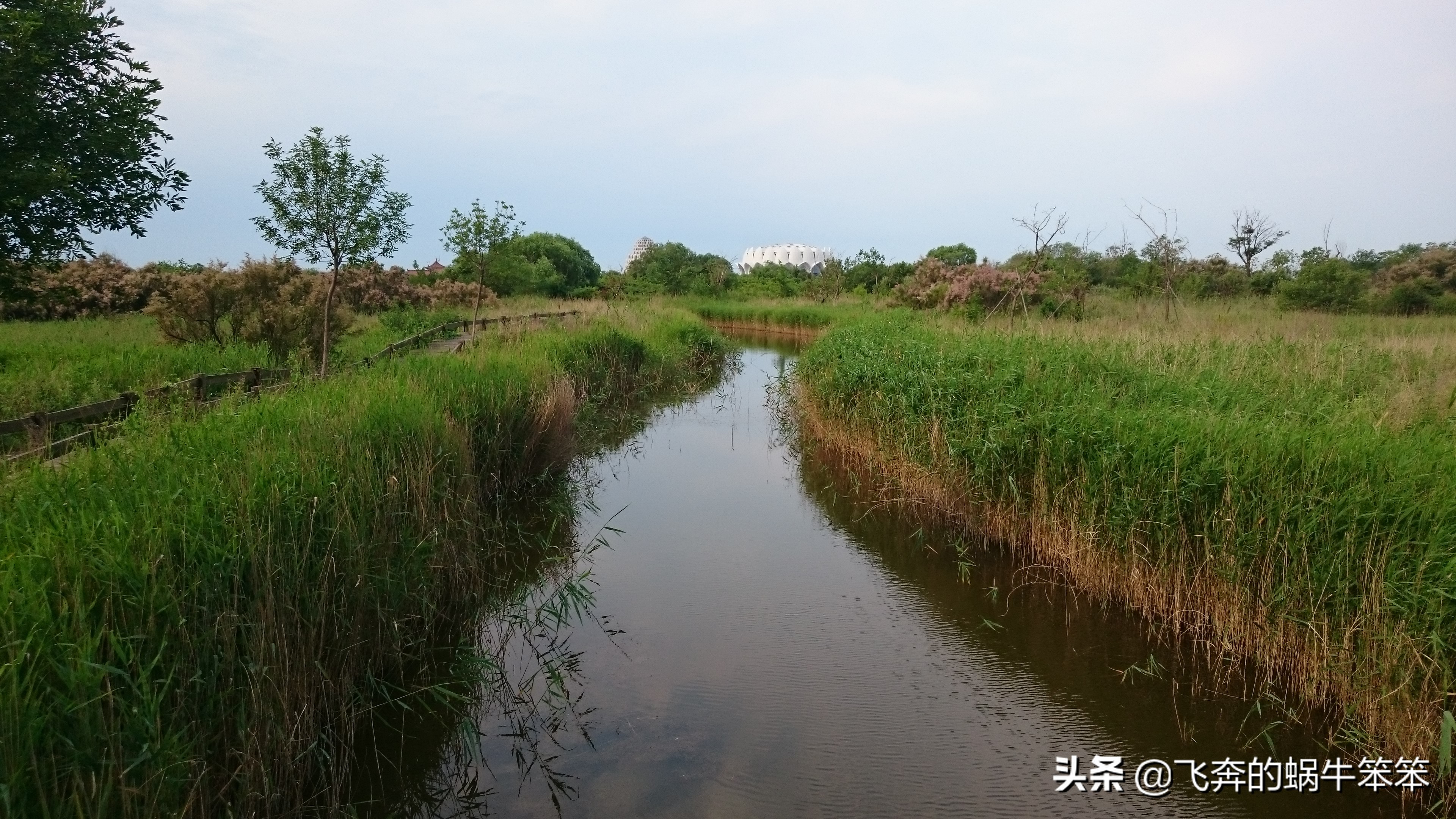 乐亭月岛赶海攻略,赶海看日出