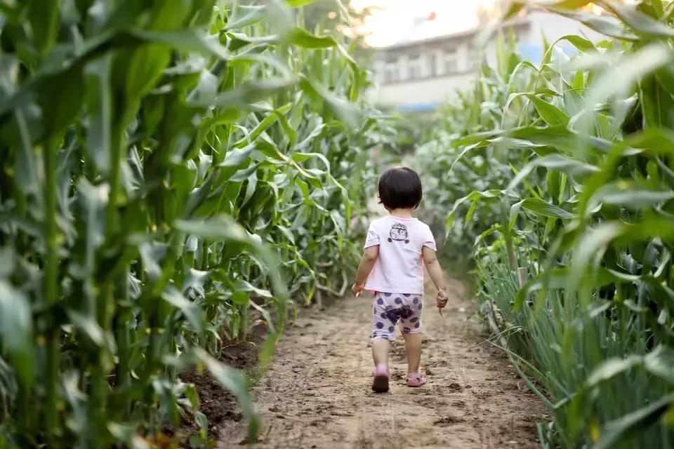 你只管善良福报已在路上下一句,你只管善良福报已在路上完整版