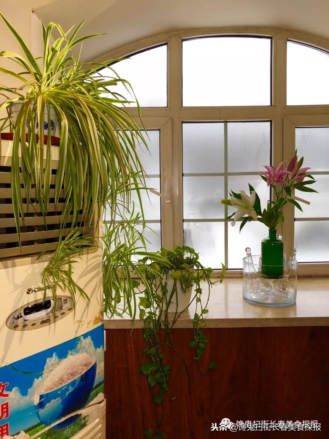 南湖别墅区藏个旧屯子，铁锅炖鱼天天爆满据说空姐都吃胖了！