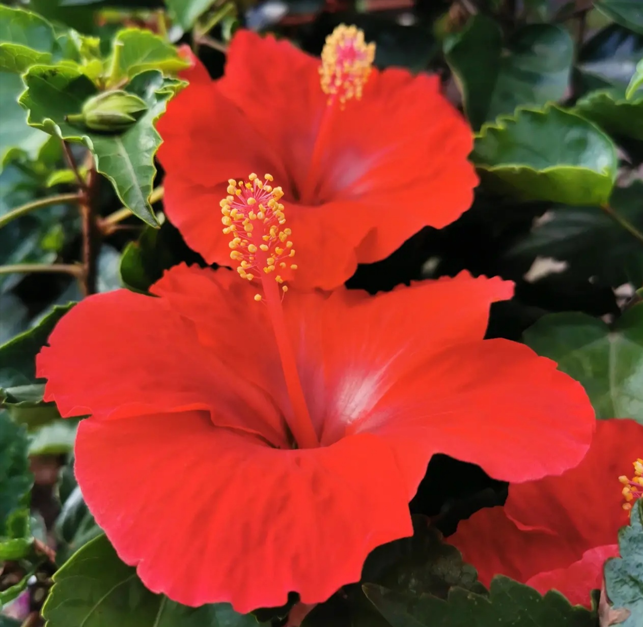 一次难忘的培训小故事,培训难忘的一件事