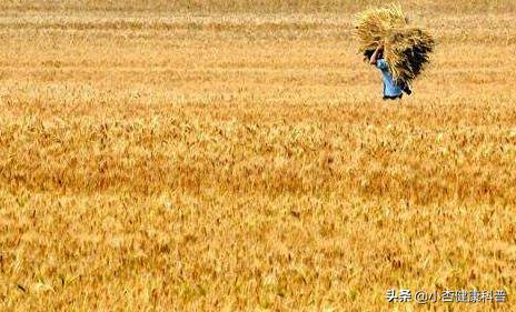 万一几个月不能出门，建议备好6类易存易放食物，营养不是问题