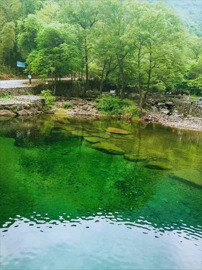 浪花飞歌原版,浪花飞歌视频完整版