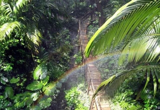 深圳周末小众好去处,深圳大鹏小众旅游景点