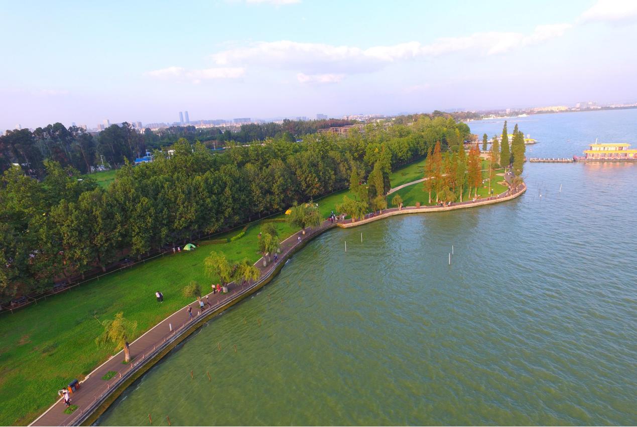 治理水葫芦泛滥的方式,水葫芦到底怎么治理