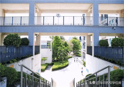 深圳红岭高中排位高过宝安中学吗,深圳红岭中学和宝安中学哪个厉害