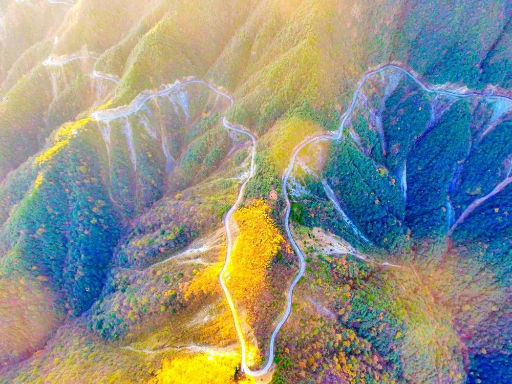 屯溪自由行攻略,黄山屯溪自由行旅游攻略