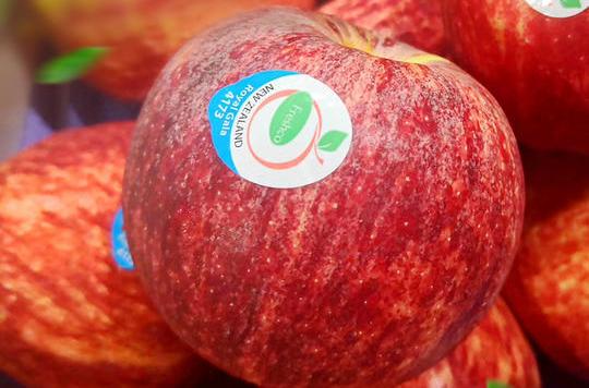 来自新西兰的嘎啦小苹果，一口就让你难忘