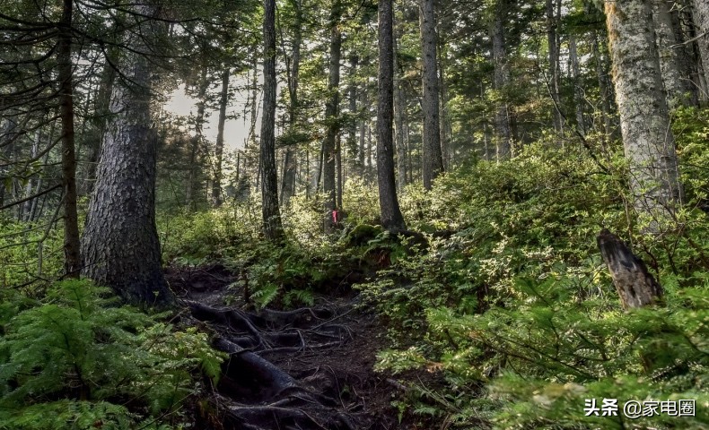 苏宁国美零售半年报,苏宁易购与国美零售半年报