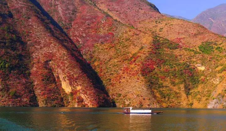 比光雾山还红，比金川彩林还晚，中国顶级的红叶盛宴正当时！